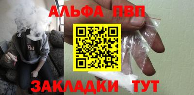 индика Кингисепп