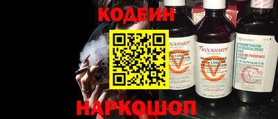 индика Кингисепп