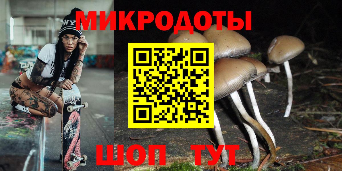 Балашов  Псилоцибиновые грибы GOLDEN TEACHER  Вход с VPN 
